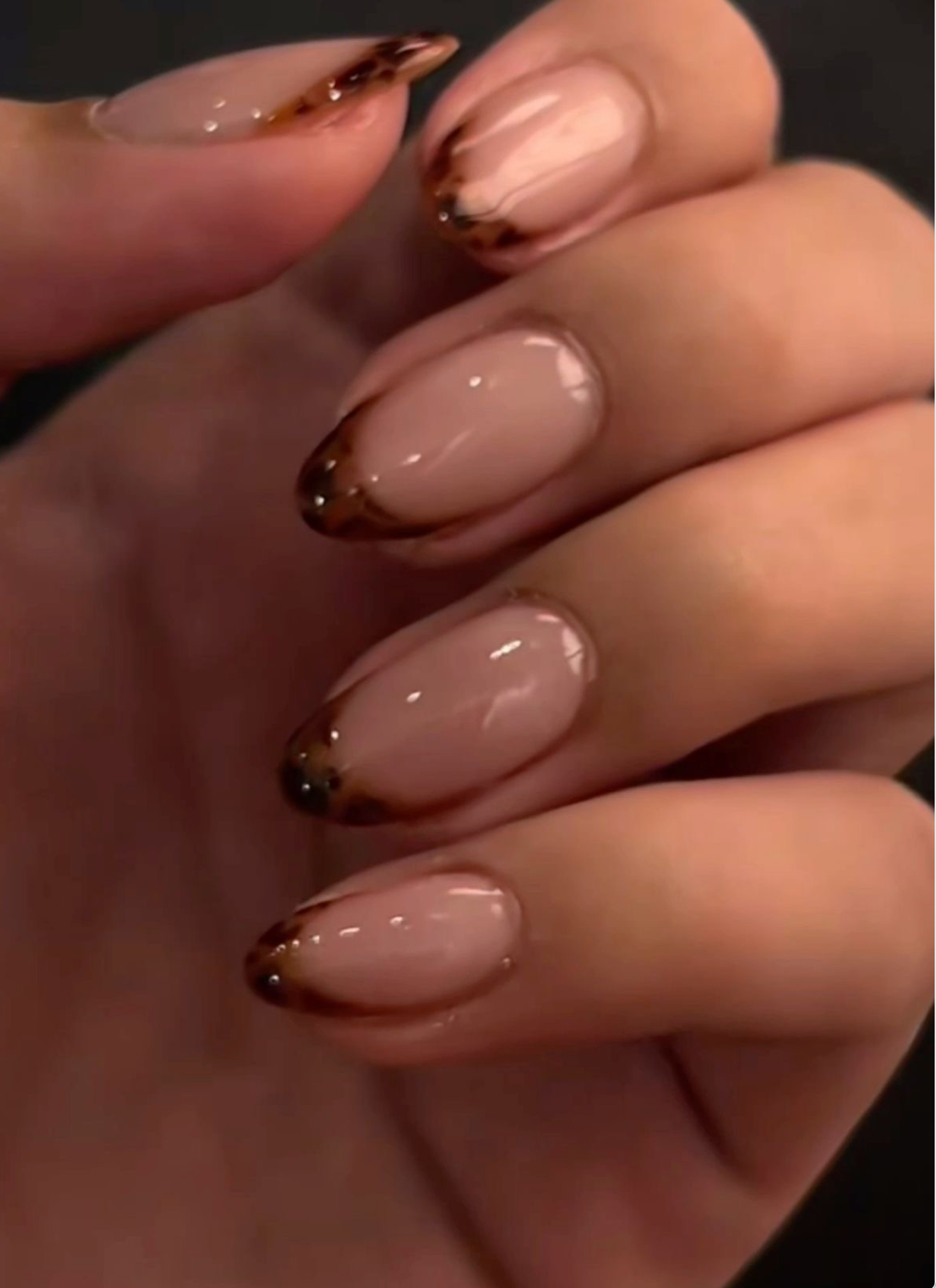 Nude base tortoise tips